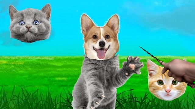 CUTE PETS Dog, Cat. Wrong puzzles смотреть онлайн