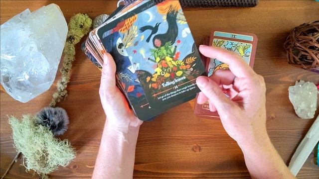 8 Decks I've Been Crushing On! ⭐Tarot and Oracle смотреть онлайн