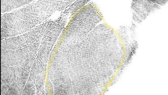 How does beauty and seduction show up in the hands? смотреть онлайн