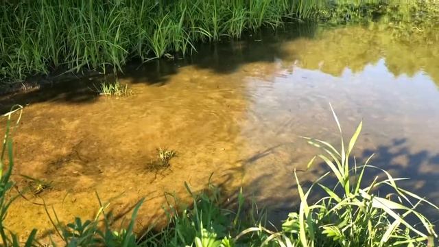 Река Унжа, село Илькино, Владимирская область, Меленковский район смотреть онлайн