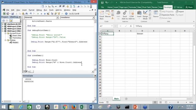 Introducion to VBA, Part 2 - with Todd Brannon | Skillsology смотреть онлайн