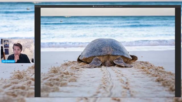 Sea Turtle Conservation on Aldabra Atoll смотреть онлайн