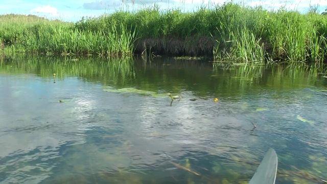 Байдарочный поход по реке Усманка смотреть онлайн