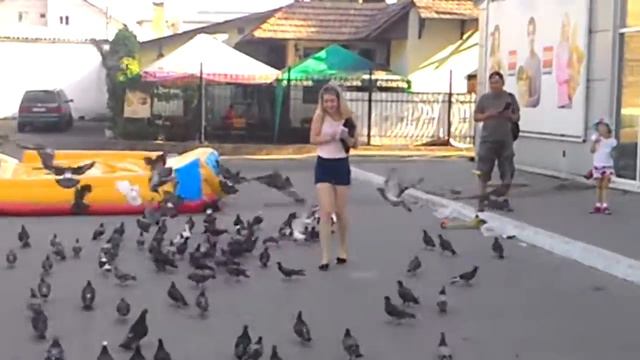 Ручные голуби в Киеве смотреть онлайн