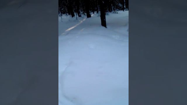 прогулка по лесу с мамой номер 2 смотреть онлайн