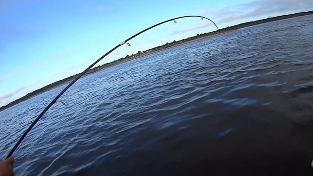 Щука на Северной двине смотреть онлайн