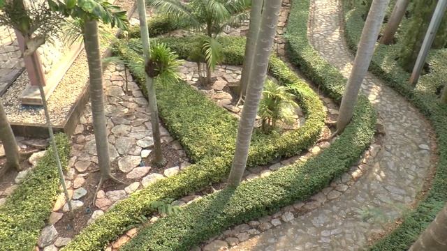 Тропический парк Нонг Нуч в Паттайе, Таиланд смотреть онлайн