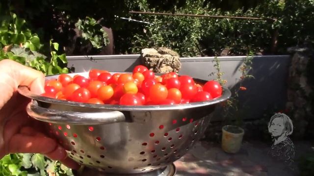 ЗАПРАВКА К ПЕРВЫМ И ВТОРЫМ БЛЮДАМ ЗАМОРАЖИВАЕМ НА ЗИМУ! смотреть онлайн