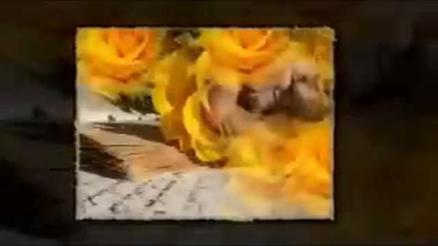 Не покидай меня,безумная мечта..