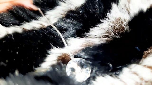 Как поздравить коллег с Новым годом! Видео поздравление #семьяиалиса #скороновыйгод смотреть онлайн