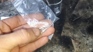 Золото 999,9% платина(ПлИ10) с реле РЭС10