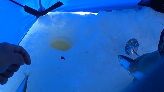Рыбалка 31 марта смотреть онлайн
