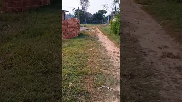 MOTO G54 5G Camera test & Review ? смотреть онлайн
