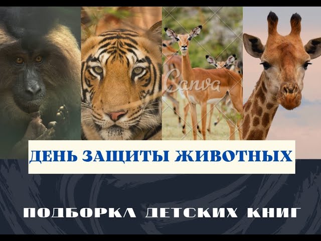 День защиты животных / Подборка книг смотреть онлайн