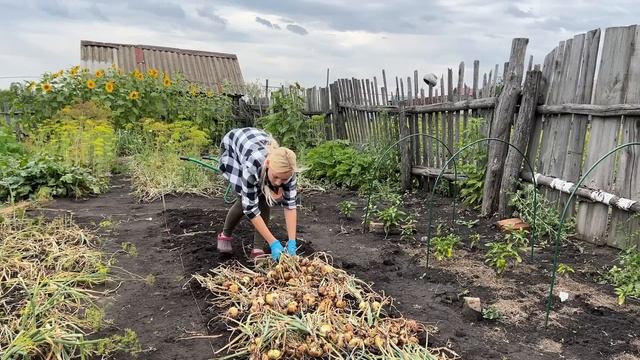 ВЫХОДНЫЕ В ДЕРЕВНЕ/МАРИНУЮ ОГУРЦЫ,ДЕЛЮСЬ РЕЦЕПТОМ/ СОБИРАЮ УРОЖАЙ ЛУКА/ МАМА В ГОСТЯХ смотреть онлайн