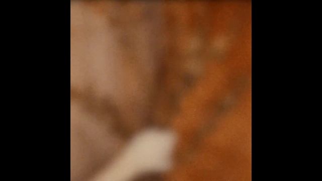 Davines View смотреть онлайн