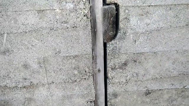 Жизнь дала трещину. Или трещины в опилкобетоне. смотреть онлайн