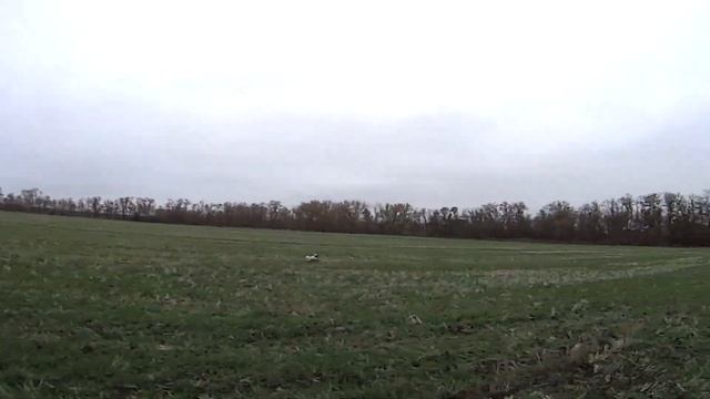 ОТКРЫТИЕ!!! Охота НА ЗАЙЦА! Новые приключения сезон 2022-2023 ТОЗ 34 И ИЖ 27 смотреть онлайн