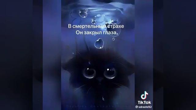 стишок про бездомного кота смотреть онлайн