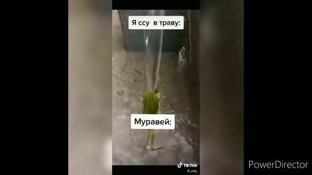 МУРАВЕЙ ТАНЦУЕТ / НАОБОРОТ смотреть онлайн