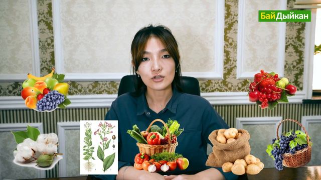 Интересные факты о сельском хозяйстве Кыргызстана смотреть онлайн
