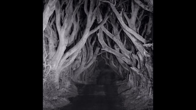 Fear of Darkness (Nyctophobia) test with creepy music смотреть онлайн