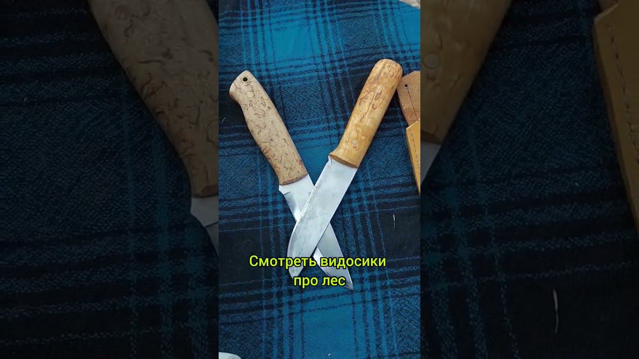 КАК НАЧАТЬ ХОДИТЬ В ЛЕС? #forestroach #выживание #бушкрафт #ковка #нож смотреть онлайн