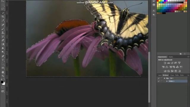 photoshop all basic tutorials (creat transparent png file) смотреть онлайн