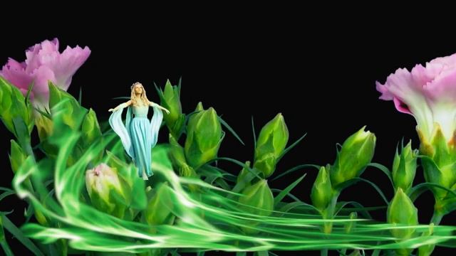 Amaryllis' Song смотреть онлайн