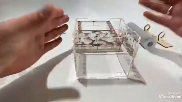 Сборка Муравьиной фермы AntsMinsk смотреть онлайн