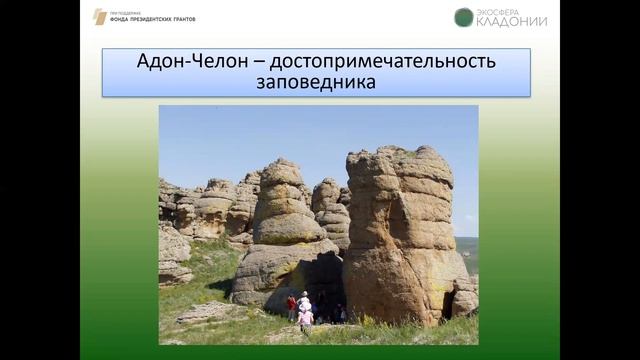 Цикл познавательно-игровых занятий в рамках проекта «Экосфера Кладонии» смотреть онлайн