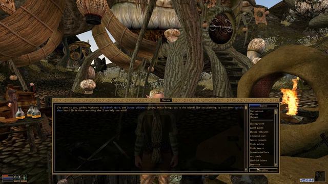 Elder Scrolls III: Morrowind: Ep 43: Telasero
