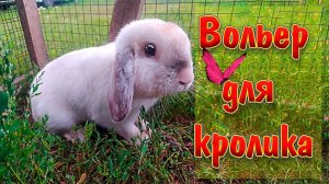 Вольер для кролика своими руками на улице