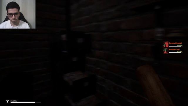 ТЕХНИКА БЕСКОНТАКТНОГО БОЯ | Mist Survival #1 | Hail Games