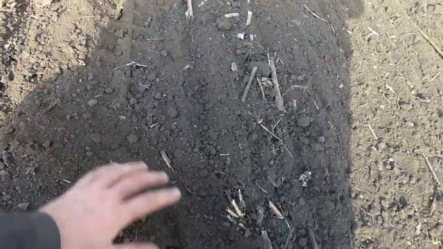 С Днем Автомобилиста. Окончание сева пшеницы. смотреть онлайн