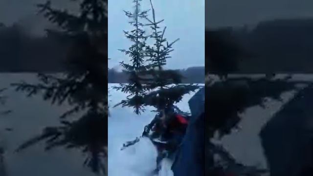 Покатушки 2017! Снова Елка! Рысь!