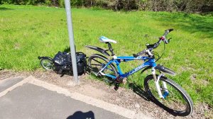 Велоприцеп \ Первые впечатления