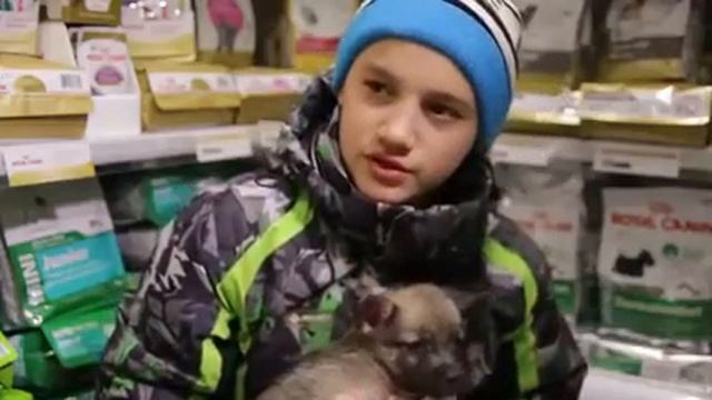 Нельзя судить по внешности смотреть онлайн