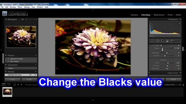 Tutorial Photoshop Lightroom 2.0 - Basics смотреть онлайн