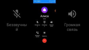 ШОК! МНЕ ЗВОНИТ АЛИСА!!!!