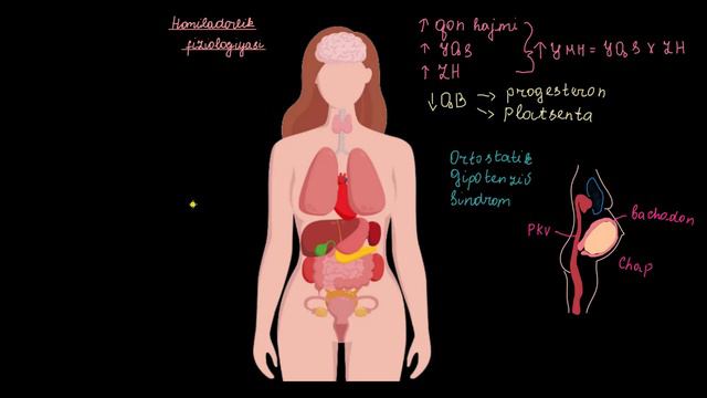 Homiladorlik Fiziologiyasi I |  Homiladorlik Va Homiladorlik Asoratlari | Tibbiyot