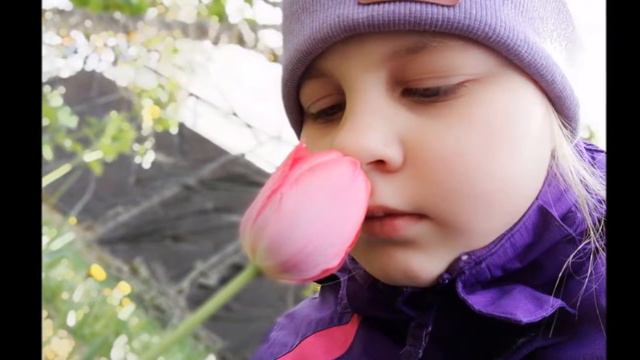 ЭКОЛОГИЯ ДУШИ ЭКОЛОГИЯ ПРИРОДЫ смотреть онлайн