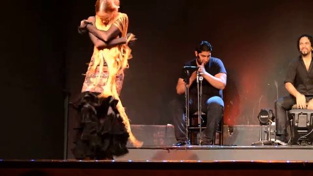 фламенко шоу смотреть онлайн