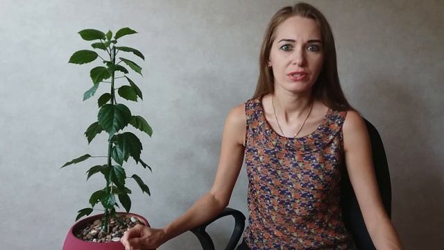 Подбор персонала. Время и способы проведения собеседования ч.3 смотреть онлайн