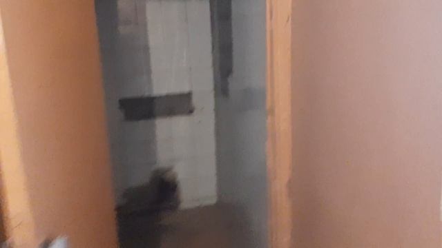 Сапожковская ЦРБ. 16 номер. смотреть онлайн