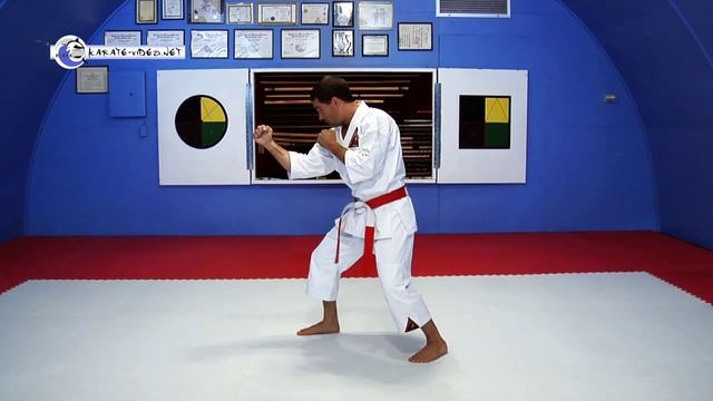 KARATE VIDEO: Karate Classes 03 | Fighting Stance смотреть онлайн