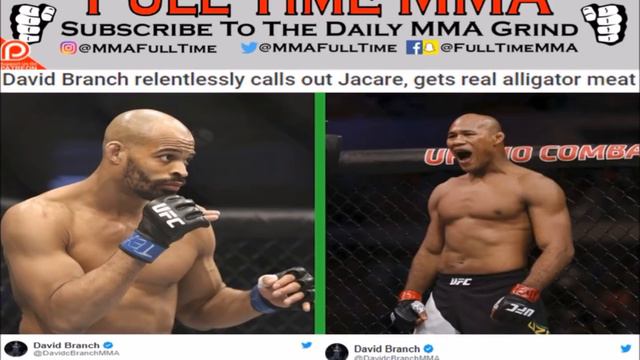 David Branch Relentlessly Calls Out Jacare, Alligator KO's Bald Guy смотреть онлайн