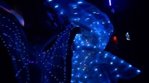 Фестиваль Solar Systo 2022 | Фестиваль электронной музыки | electronic music | электронная музыка