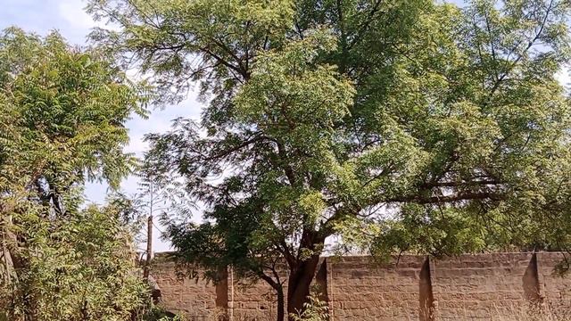 OGUN IBA APONJU PONTO ATI IBA 07037379179 or 09157795917 смотреть онлайн