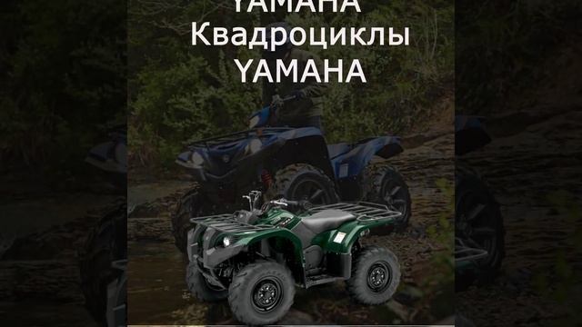 Рассрочка под 0% смотреть онлайн